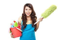 Professional Home Cleaners in Docklands, SE16