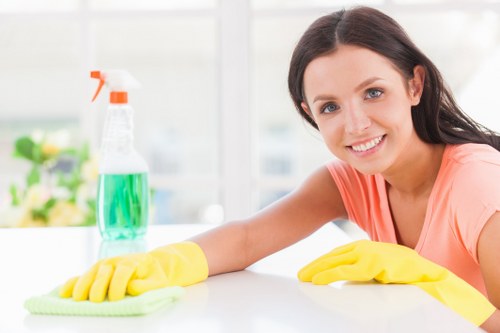 Stain removal service for Docklands apartment carpets and upholstery