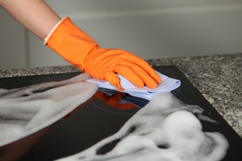 Professional carpet cleaning in a Docklands apartment living room
