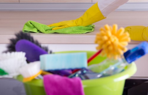 Detailed kitchen cleaning during a Docklands tenancy clean