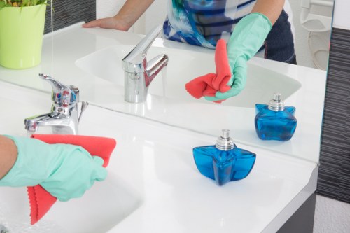 Pet odour removal and upholstery cleaning support