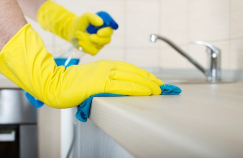 Deep cleaning treatment for pet urine stains in a Docklands home
