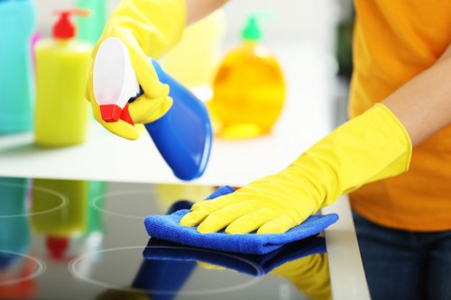 Dusting and floor care in a modern Docklands apartment