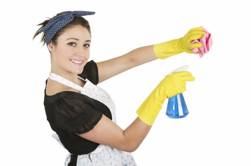 Bathroom deep cleaning in a Docklands residential property