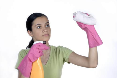 Deep cleaning a carpet in Docklands property